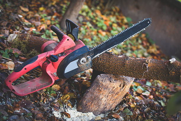 Best Stump Grinding and Removal  in Brownsburg, IN